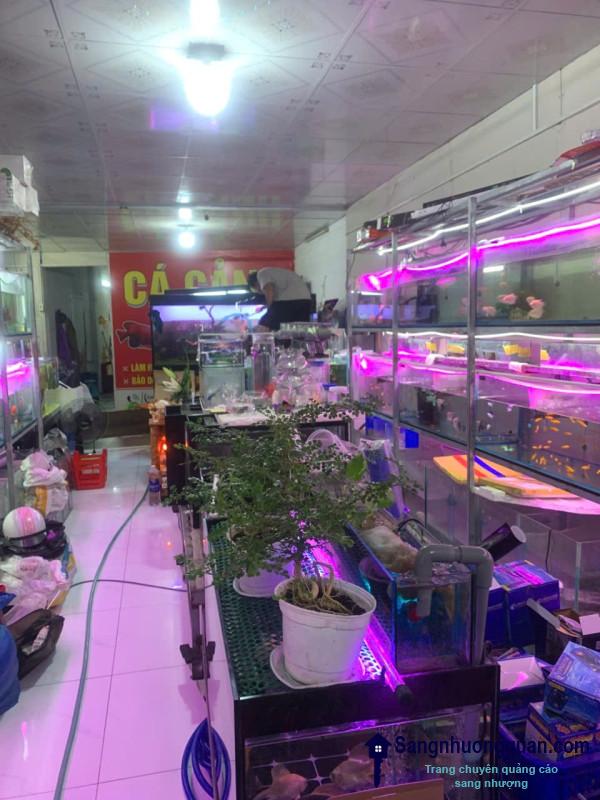 Sang nhượng cửa hàng