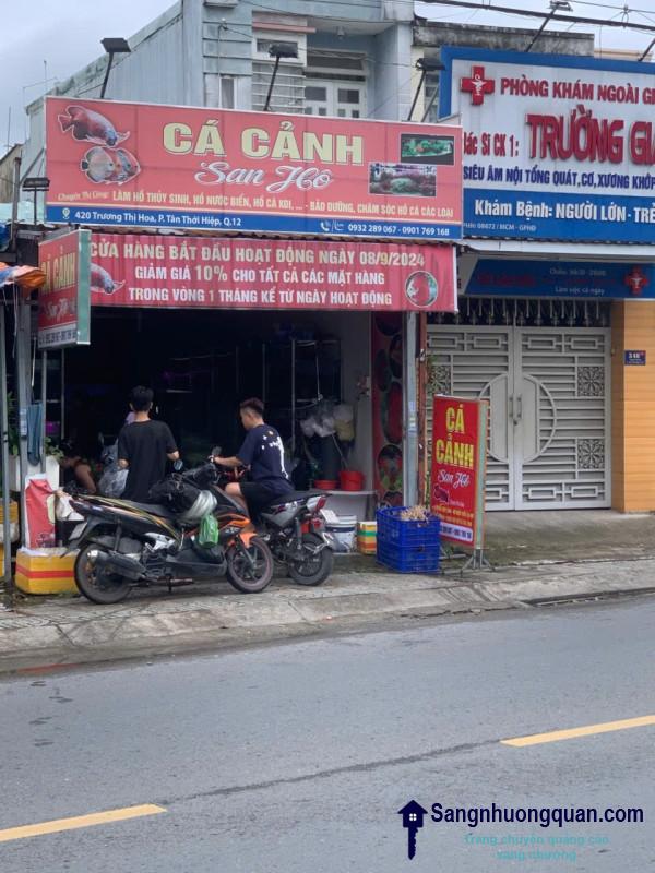 Cần Sang Nhượng Tiệm Cá Cảnh Ở Quận 12