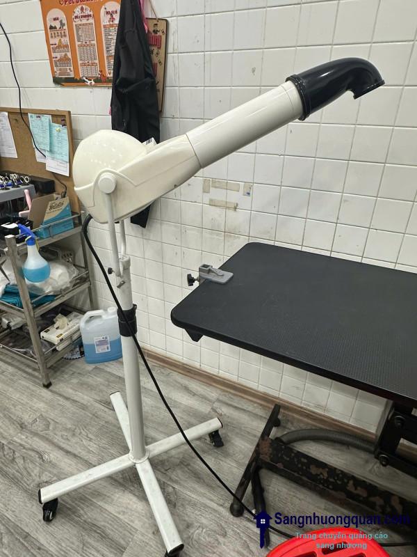 Sang cửa hàng thú nuôi